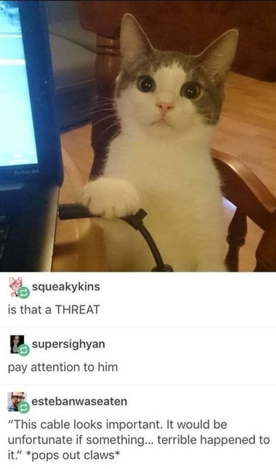 slack imgs.jpg