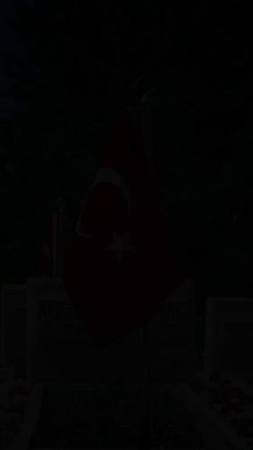  8p14St8NljU2Q2T.jpg