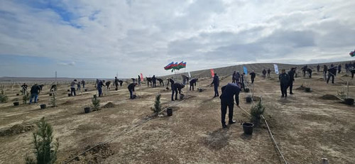 490408262 1121616000009128 5177568743562205867 n.jpg?stp=cp6 dst jpg s600x600 tt6& nc cat=101&ccb=1 .jpg