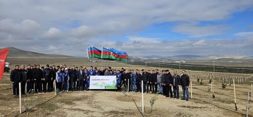 490620237 1121615940009134 5736826584947873077 n.jpg?stp=cp6 dst jpg s600x600 tt6& nc cat=104&ccb=1 .jpg