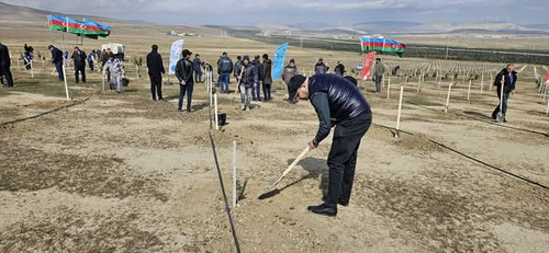 490456489 1121616103342451 8114074547438306748 n.jpg?stp=cp6 dst jpg s600x600 tt6& nc cat=106&ccb=1 .jpg