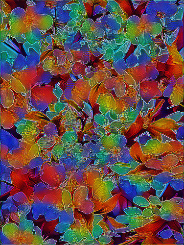 DB8B2B17 5692 48C3 94A2 BC893C082FF7.jpg