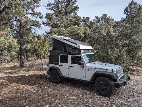 PXL 20231115 181018851.jpg