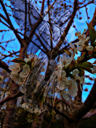 2C85518D 066C 4B96 A09C 3EDA0C75F2DB.jpg