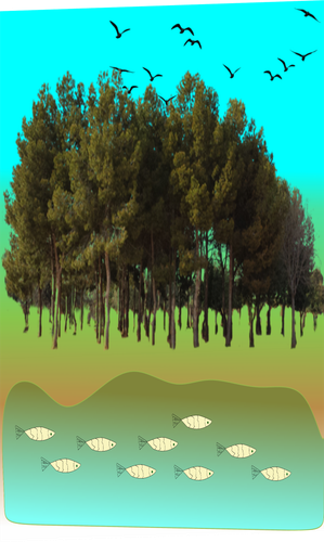 Untitled 1757578.png