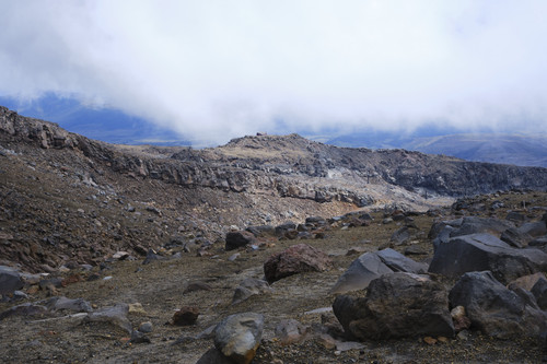 DSCF6263.jpg