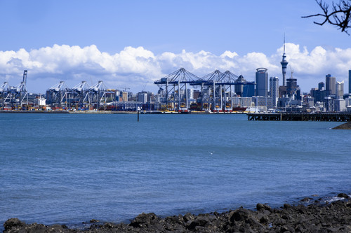 DSCF1145 2.jpg