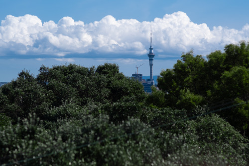 DSCF1174 2.jpg