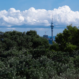 DSCF1174 2