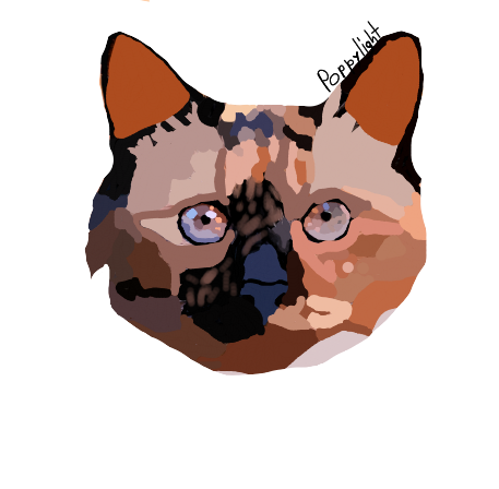 2025 02 15 0q7 Kleki.png