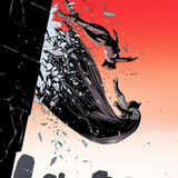 Batman &amp; Catwoman