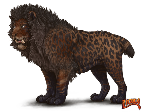 lioden wardrobe (1).png