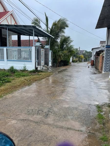 481976603 618121197601119 3162298313200885137 n.jpg