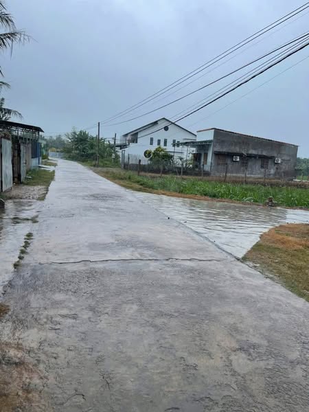 480756931 618121190934453 442490653777978107 n.jpg