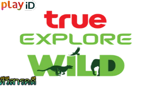 wild.png