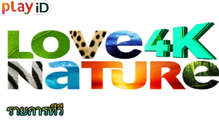 love4.png
