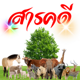 สารคดี.png