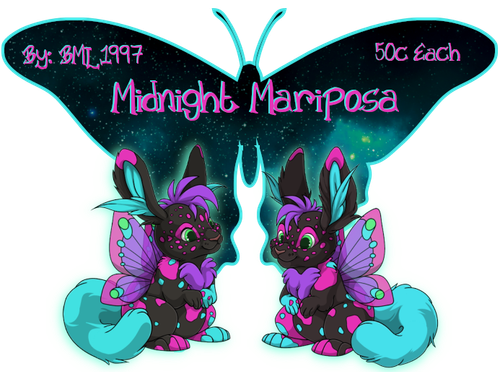 midnight mariposa.png
