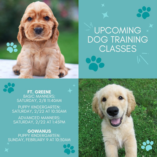 Professional Dog Trainers New York City.jpg