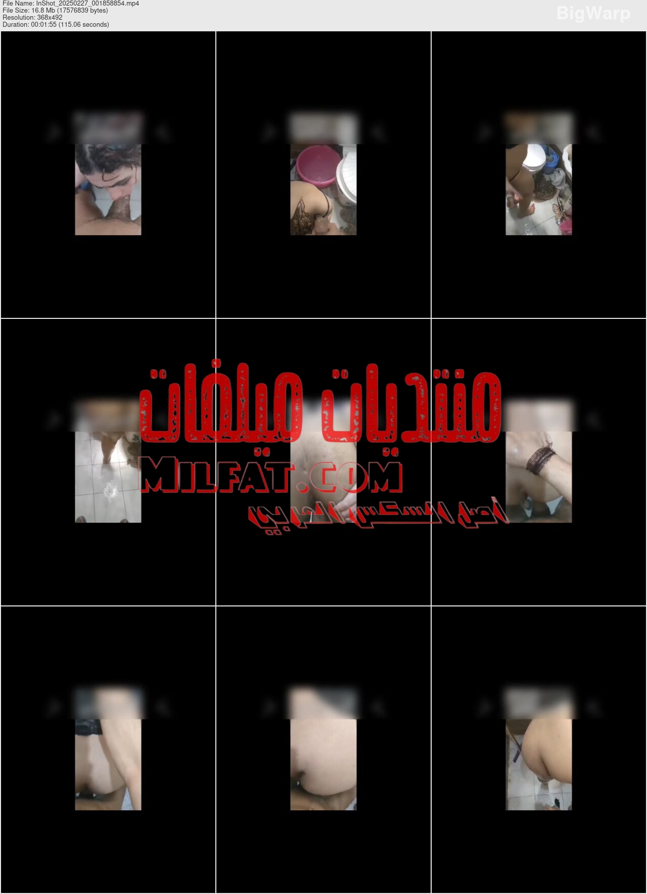 اجمد فيديو مص زبر ونيك هتشوفه في الحمام بتمص زبر عشيقها بالعافية وكل قحبنة عليها نظره بنت متناكة هتخليك تنطرهم حصري