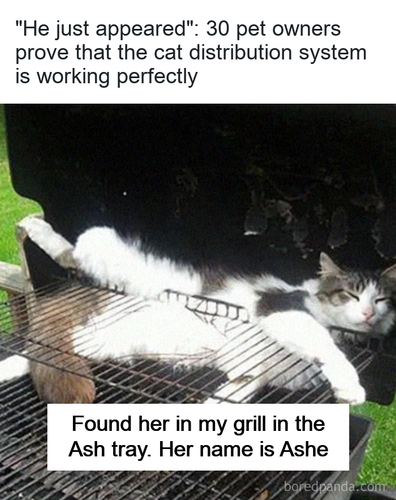 slack imgs.png