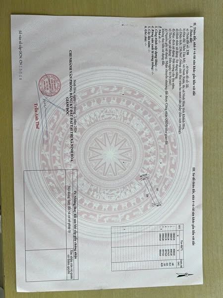 482262669 1158871979582185 582489019423259623 n.jpg