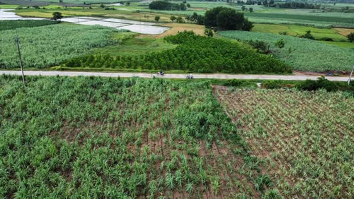 480920312 4227305360886020 1250383605158397418 n.jpg