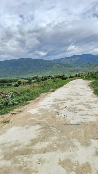 481116560 4227305377552685 2916391057353624032 n.jpg