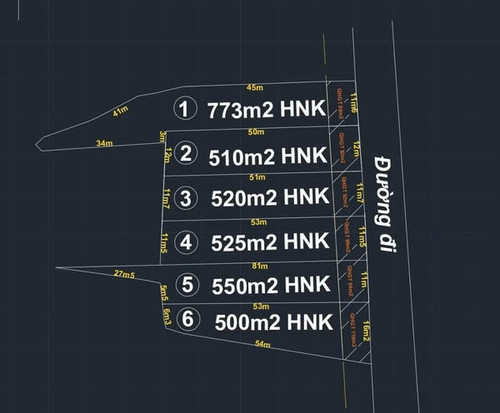 480727748 4227305390886017 5076536973172875077 n.jpg