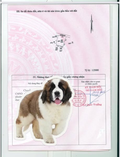 481211245 4107881339442232 4705672581015544507 n.jpg