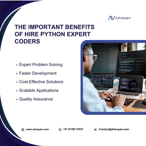 The important Benefits of Hire Python Expert Coders.jpg