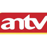 antv