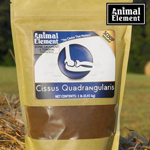 Natural Joint Support with Cissus Quadrangularis Supplement.jpg