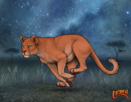 lion 794238938251.png