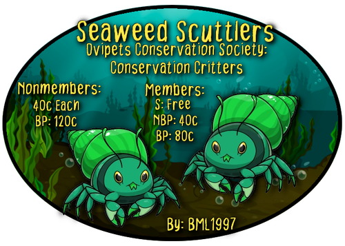 seaweed scuttlers.png