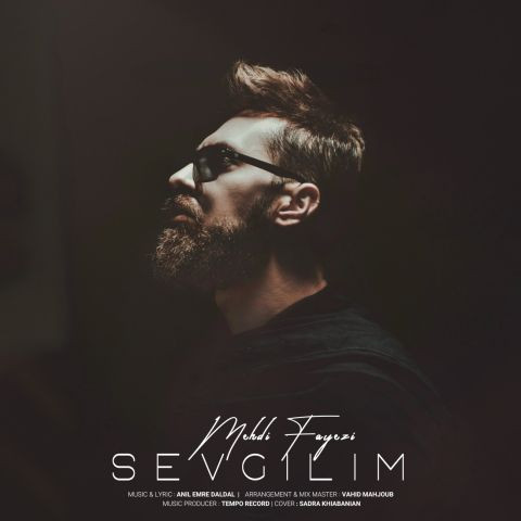دانلود آهنگ مهدی فایضی به نام سئوگیلیم
