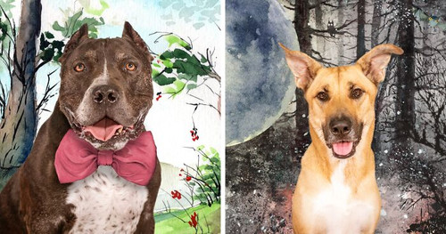calendar local resuce pets dogs melissa blake photography fb3 png 700.jpg