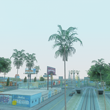 BPalm