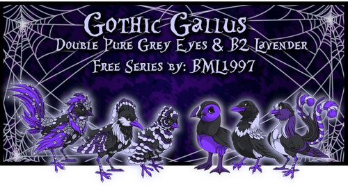 gothic gallus update