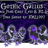 gothic gallus update