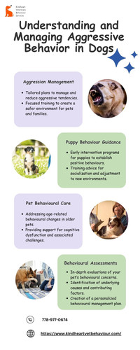 Understanding and Managing Aggressive Behavior in Dogs.jpg