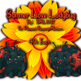 summer love ladybug