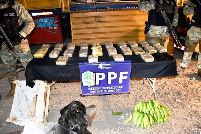 La Policía secuestró más de 24 kilos de cocaína camuflados en un cargamento de banana