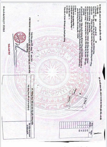 481076118 647480651211071 2935943225951152927 n.jpg