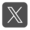 X Logo.png