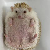 微信图片 20250508155910.png