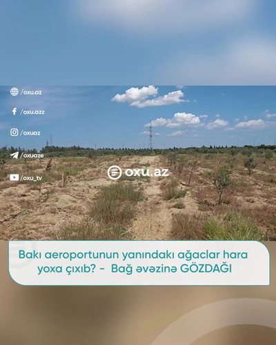 Xi1G4 q3WKz38h9R.jpg