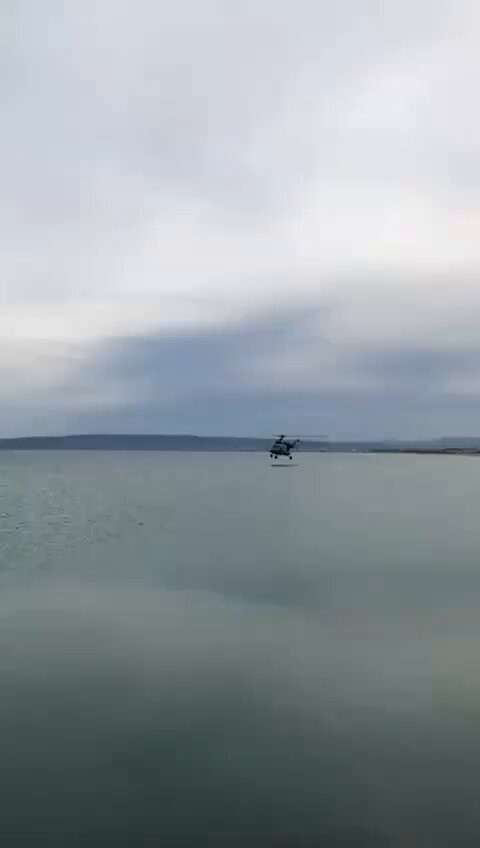 MV5Lw eNtM1BNsg4.jpg