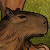 Capy1.png
