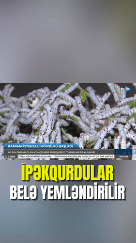 hOyhN1YwkHfcQf 5.jpg